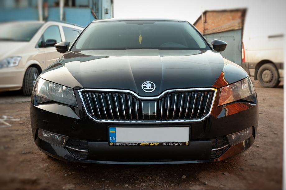 Skoda Superb 2015-2024 Winterabdeckung für Kühlergrill (2015-2019, unten) Image