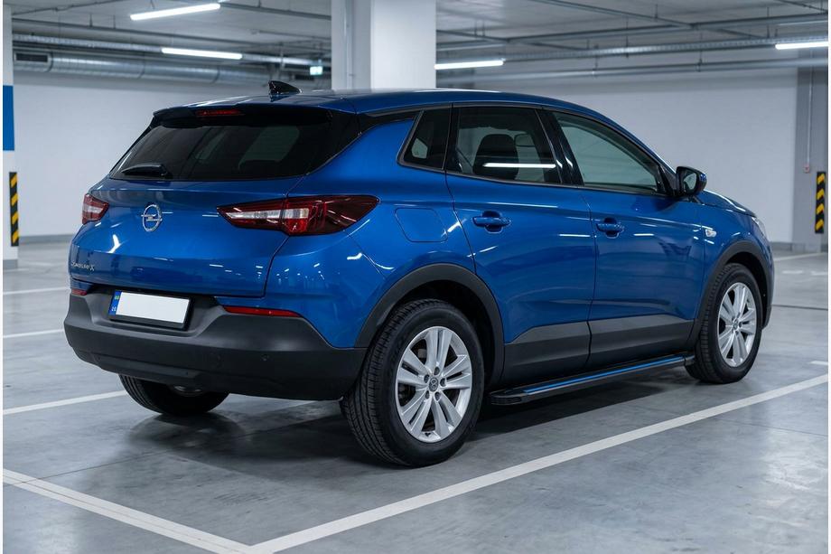 Opel Grandland X 2017- Seitenschweller Maya Blue (2 Stk., Aluminium) Image