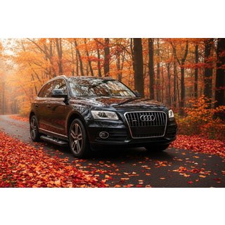Seitenschweller New Vision Black (2 Stk., Aluminium) Foto 1