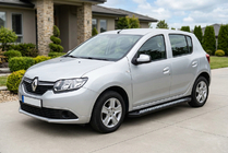 Renault Sandero 2013-2022 Seitenschweller New Vision Black (2 Stk., Aluminium) Foto 1