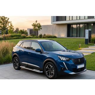Seitenschweller Tayga V2 (2 Stk., Aluminium) Peugeot 3008 2016-2023 Foto 1