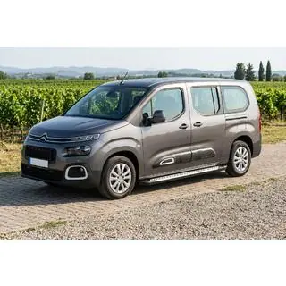 Trittbretter Allmond Grey (2 Stk., Aluminium) Foto 1