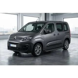 Trittbretter Allmond Black (2 Stk., Aluminium) Foto 1