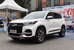 Übersicht über mittelständische Crossover-Chery Tiggo 8 Foto 3