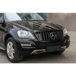 Frontgrill (GT Panamericana, 2009-2012) Foto 1