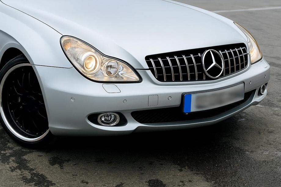 Mercedes CLS C219 2004-2010 Frontgrill (2008-2010, GT Panamericana) Image