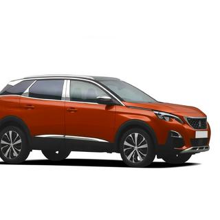 Edelstahl Türsäulen Abdeckungen Peugeot 3008 2016-2023 Foto 4