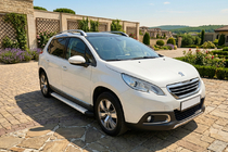 Peugeot 2008 2013-2019 Seitenschweller Maya V2 (2 Stk., Aluminium) Foto 1