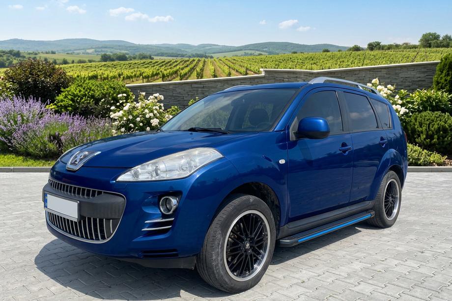 Peugeot 4007 2007-2013 Seitenschweller Maya Blue (2 Stk., Aluminium) Image