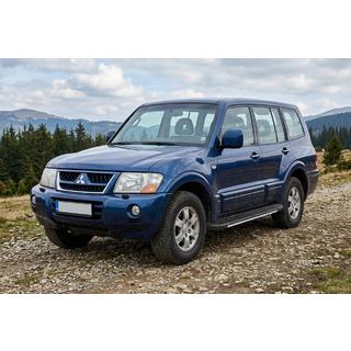 Trittbretter Bosphorus Grey (2 Stk., Aluminium) Mitsubishi Pajero Wagon III 1999-2006 Foto 1