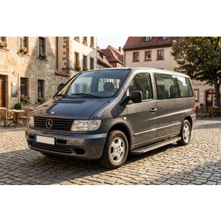 Trittbretter Bosphorus Grey (2 Stk., Aluminium) Mercedes Vito W638 1996-2003 Foto 1