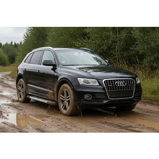 Seitenschweller New Vision Grey (2 Stk., Aluminium) Audi Q5 2008-2017 Foto 1