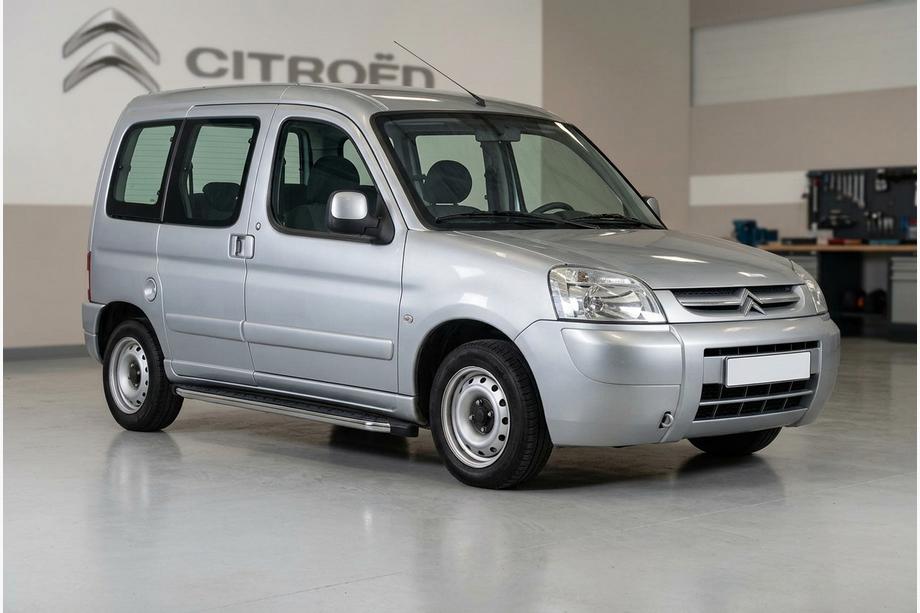 Citroen Berlingo 1996-2008 Seitenschweller BlackLine (2 Stk., Aluminium) Image