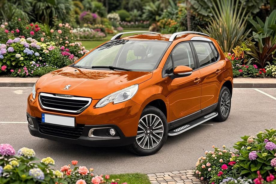 Peugeot 2008 2013-2019 Seitenschweller Tayga V2 (2 Stk., Aluminium) Image