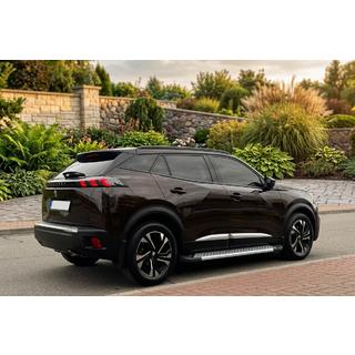 Seitenschweller New Vision Grey (2 Stk., Aluminium) Peugeot 3008 2016-2023 Foto 1