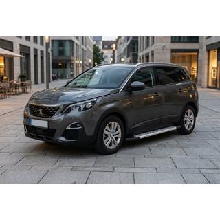 Seitenschweller New Vision Grey (2 Stk., Aluminium) Foto 1