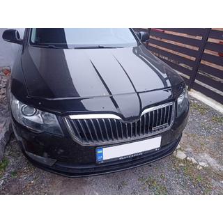 Motorhaubenschutz 2013-2015 (EuroCap)