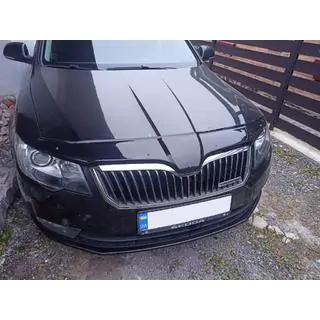 Motorhaubenschutz 2013-2015 (EuroCap)