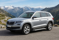 Skoda Kodiaq 2016-2023 Seitenschweller New Vision Grey (2 Stk., Aluminium) Foto 1
