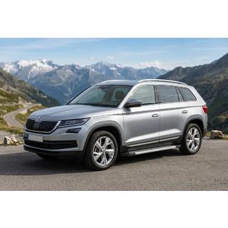 Seitenschweller New Vision Grey (2 Stk., Aluminium) Foto 1