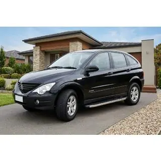Seitenschweller BlackLine (2 Stk., Aluminium) Foto 1