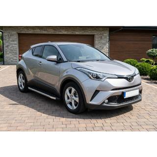 Trittbretter BlackLine (2 Stk., Aluminium) Foto 1