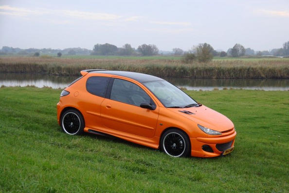 Peugeot 206 einstellen