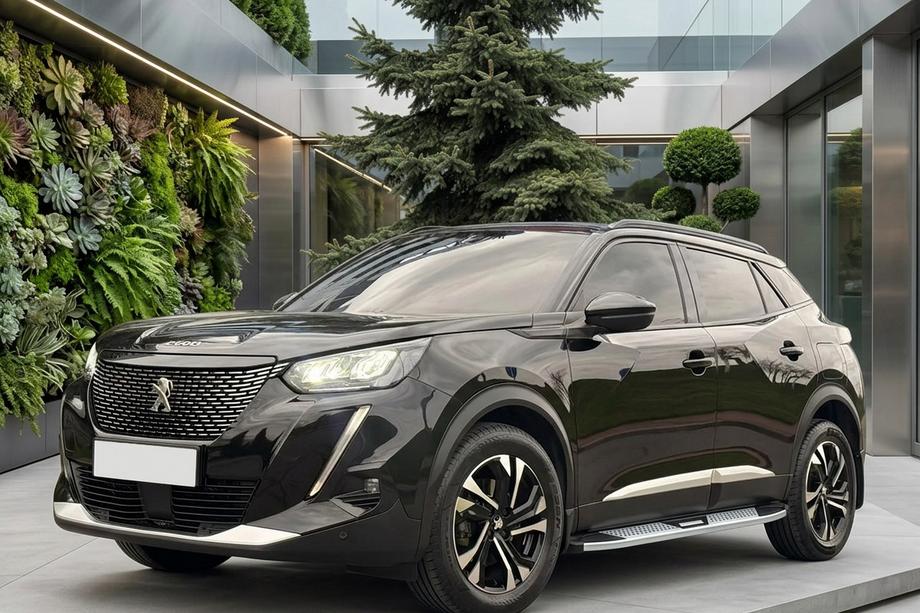 Peugeot 3008 2016-2023 Seitenschweller Mevsim Grey (2 Stk., Aluminium) Image