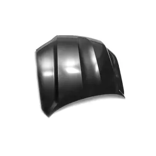 Motorhaube 2016+ grundiert (China) Foto 2