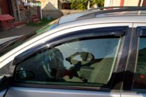 Ford Focus I 1998-2005 Windabweiser SW (4 Stk, HIC) Foto 1