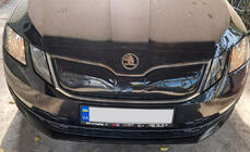 Skoda Octavia III A7 2013-2019 Wintergrill (2017-2020) Foto 7