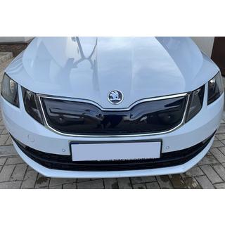 Wintergrill (2017-2020) Skoda Octavia III A7 2013-2019 Foto 1