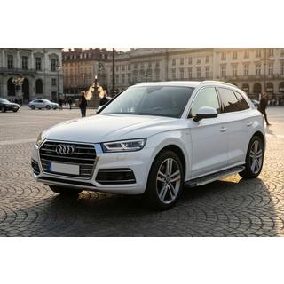Seitenschweller BlackLine (2 Stk., Aluminium) Foto 1