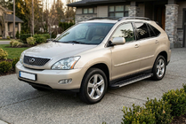 Lexus RX 2003-2009 Seitenschweller Maya V1 (2 Stk., Aluminium) Foto 1