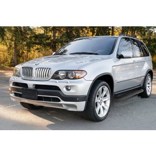 Seitenschweller Tayga Black (2 Stk, Alu) BMW X5 E53 1999–2006 Foto 1
