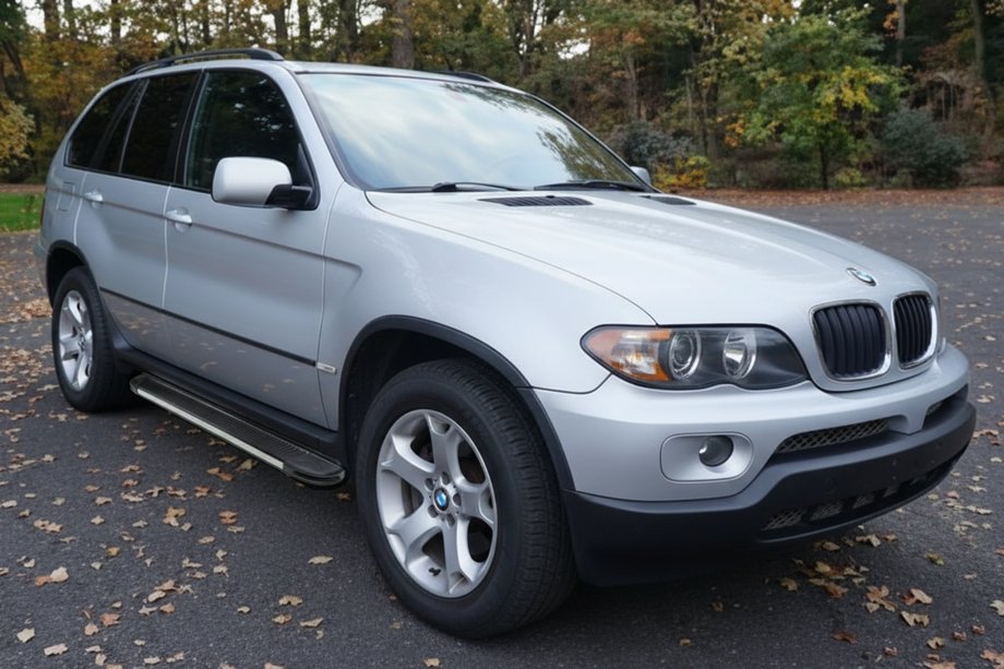 BMW X5 E53 1999–2006 Seitenschweller Maya V1 (2 Stk, Alu) Image