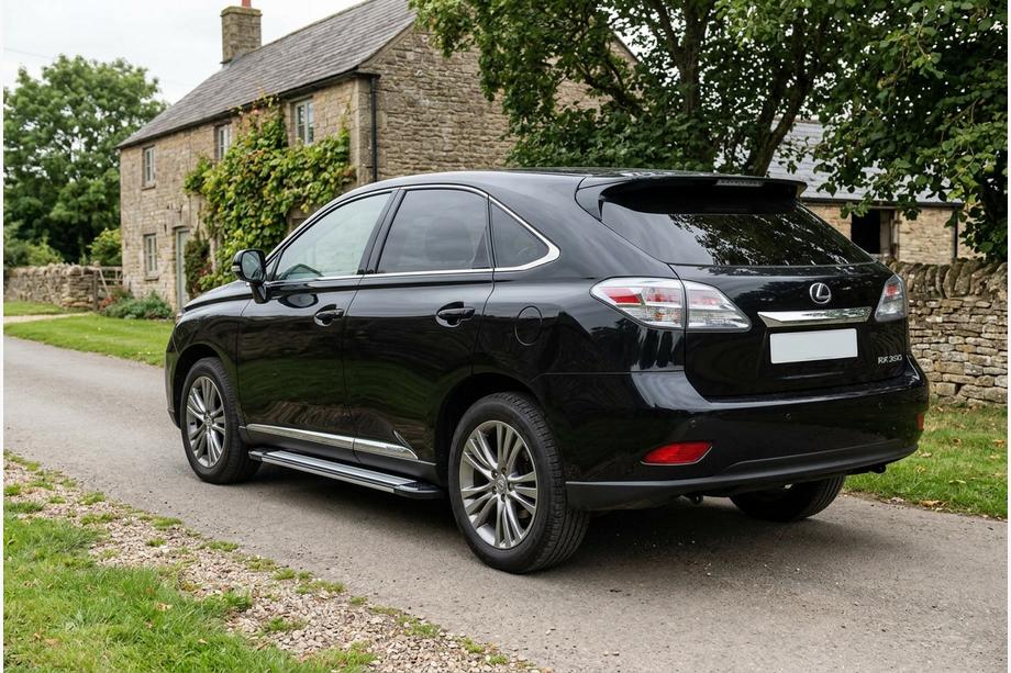 Lexus RX 2009-2015 Trittbretter Rainbow (2 Stk, Aluminium) Image