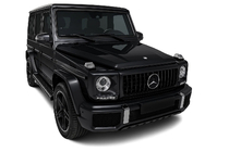 Mercedes G class W463 1990-2018 Frontgrill (GT Panamericana, ohne Chrom) Foto 4