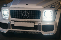 Mercedes G class W463 1990-2018 Frontgrill (GT Panamericana, ohne Chrom) Foto 8