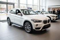 BMW X1 F48 2015-2022 Seitenschweller Vision New Grey (2 Stk., Aluminium) Foto 1