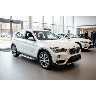Seitenschweller Vision New Grey (2 Stk., Aluminium) BMW X1 F48 2015-2022 Foto 1