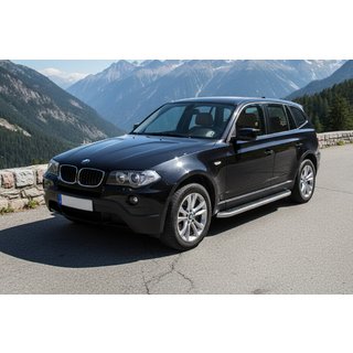 Seitenschweller Tayga Grey (2 Stk., Aluminium) Foto 1