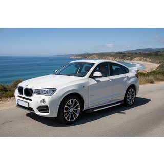 Seitenschweller RedLine (2 Stk., Aluminium) Foto 1