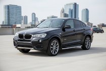 BMW X4 F26 2014-2018 Seitenschweller Tayga Grey (2 Stk., Aluminium) Foto 1