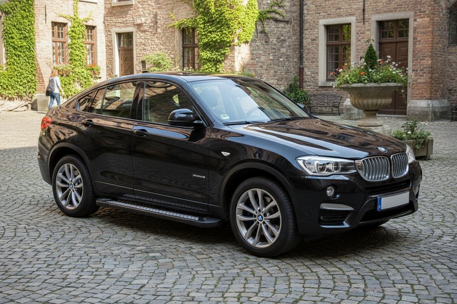 BMW X4 F26 2014-2018 Seitenschweller Vision New Black (2 Stk., Aluminium) Image