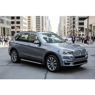 Seitenschweller Maya V1 (2 Stk., Aluminium) BMW X5 F15 2013-2018 Foto 1