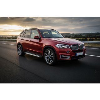 Seitenschweller Maya V2 (2 Stk., Aluminium) BMW X5 F15 2013-2018 Foto 1
