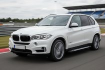 BMW X5 F15 2013-2018 Seitenschweller Line (2 Stk., Aluminium) Foto 1