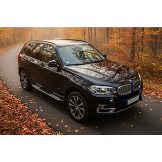 Seitenschweller Tayga V2 (2 Stk., Aluminium) BMW X5 F15 2013-2018 Foto 1