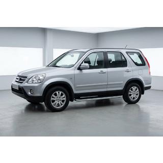 Seitenschweller Tayga Grey (2 Stk., Aluminium) Foto 1
